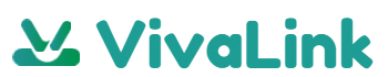 VivaLink – Seo y Diseño web
